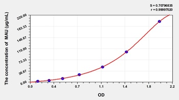 Human Microalbuminuria (MAU) ELISA Kit