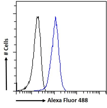 STAT3 (isoform 1 and 2) Antibody