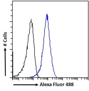 Pericentrin 1/NUP85 Antibody