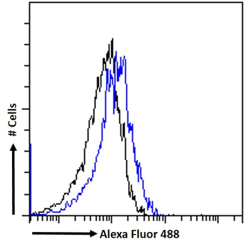 CD74 (aa159-171) Antibody