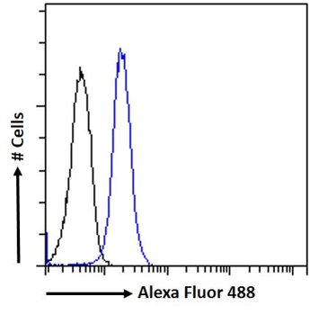 Goat anti-CD11A / integrin alpha L Antibody