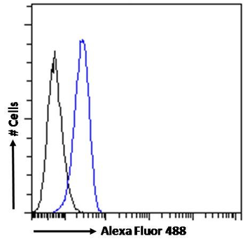 TLR4/CD284 Antibody
