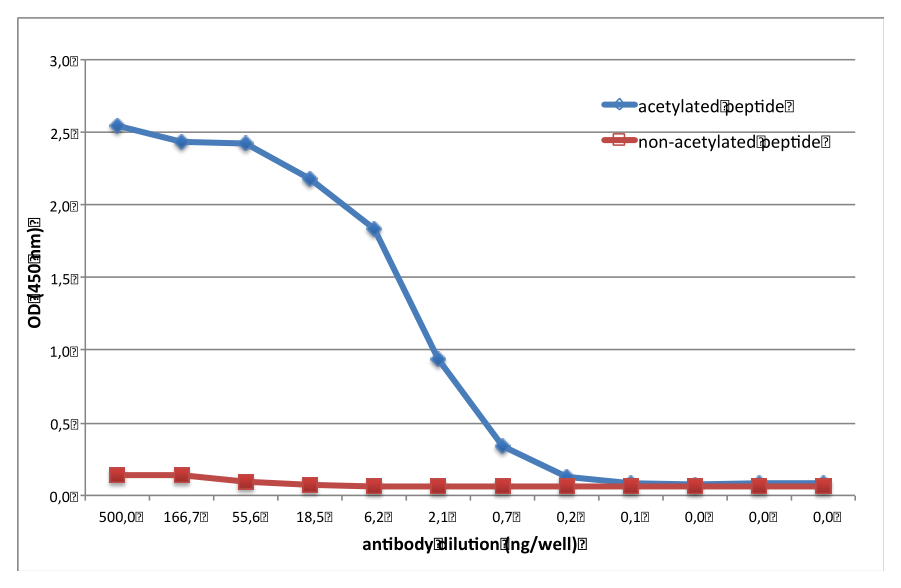 AVS Bio - mouse acetylated lysine peptide Antibody