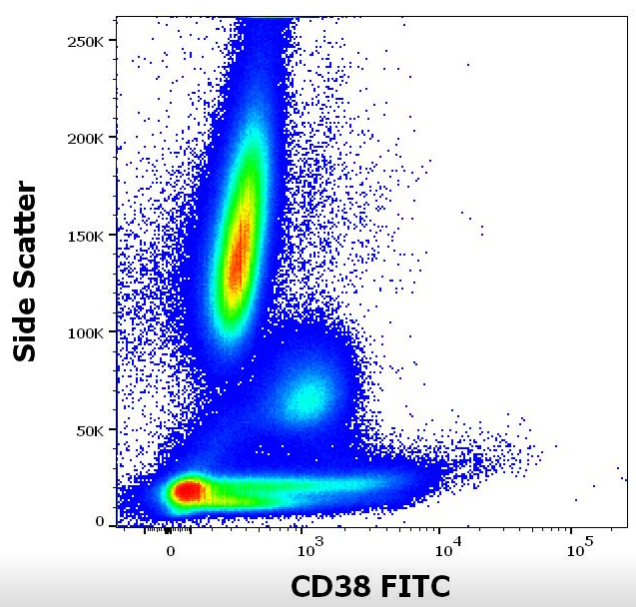 CD38 Antibody (FITC)