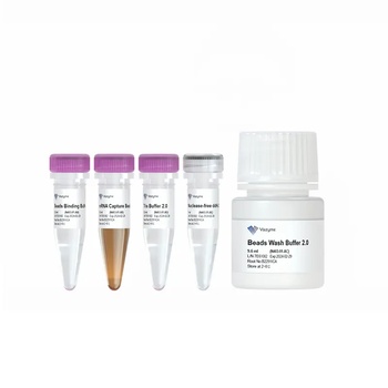 Vazyme - VAHTS mRNA Capture Beads 2.0