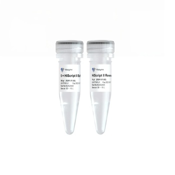 Vazyme - HiScript II Reverse Transcriptase