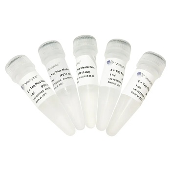 Vazyme - 2 × Taq Plus Master Mi