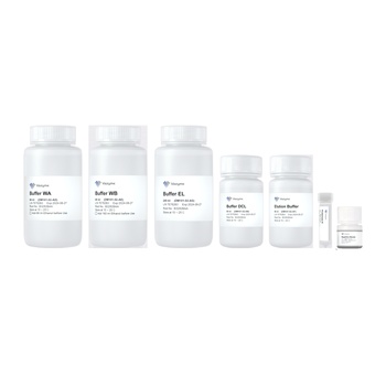 Vazyme - VAMNE MagUltra Blood Genomic DNA Extraction Kit