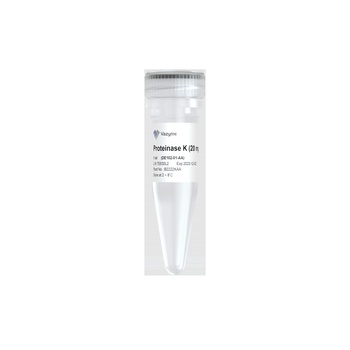 Vazyme - Proteinase K (20 mg/ml)