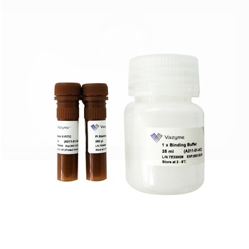 Vazyme - Annexin V - FITC/PI Apoptosis Detection Kit