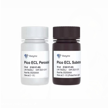 Vazyme - SuperPico ECL Chemiluminescence Kit