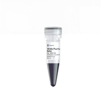 Vazyme - 180 kDa Plus Prestained Protein Marker