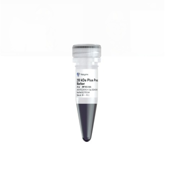 Vazyme - 250 kDa Plus Prestained Protein Marker