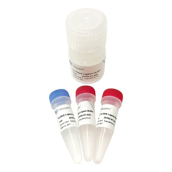 Vazyme - T4 DNA Ligase (Rapid)