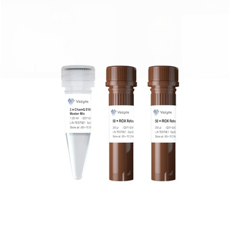 Vazyme - ChamQ SYBR qPCR Master Mix
