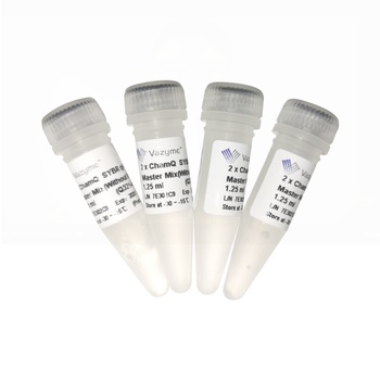 Vazyme - ChamQ SYBR qPCR Master Mix (Without ROX)