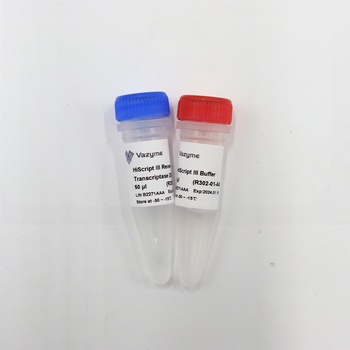 Vazyme - Hiscript III Reverse Transcriptase
