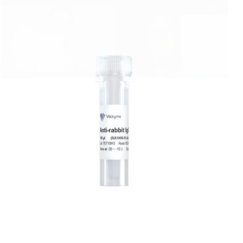 Vazyme - Anti-rabbit IgG for IP (HRP)