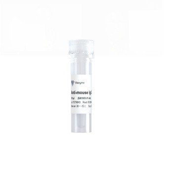 Vazyme - Anti-mouse IgG for IP (HRP)