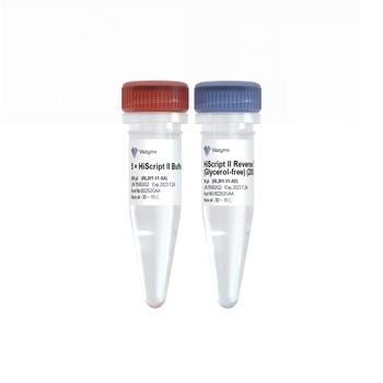 Vazyme - HiScript II Reverse Transcriptase (Glycerol-free)