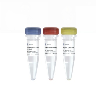 Vazyme - RTv Reverse Transcriptase
