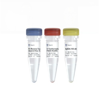 Vazyme - RTv Reverse Transcriptase (Glycerol-free)