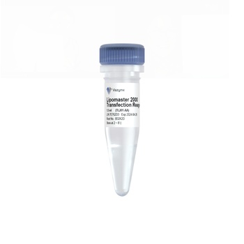 Vazyme - Lipomaster 2000 Transfection Reagent