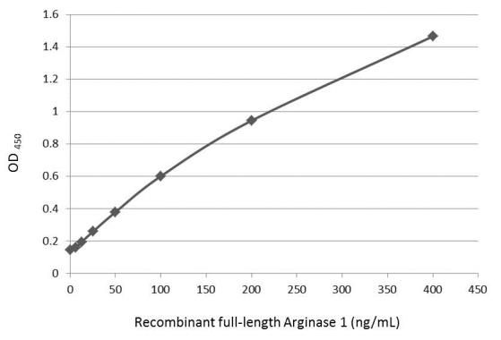 Arginase 1 antibody