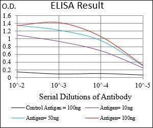 B2M Antibody