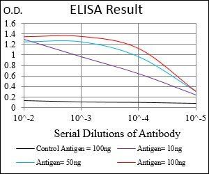 BDNF Antibody