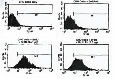 Mouse BrdU (bromodeoxyuridine), conjugated with FITC Antibody