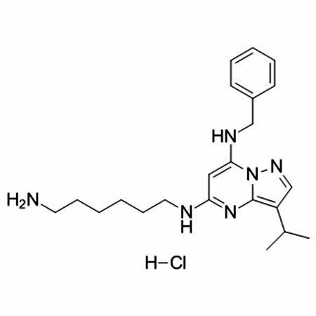 BS-181 hydrochloride