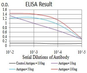 CALB2 Antibody