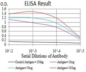 CALB2 Antibody