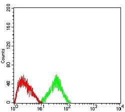 CD2 Antibody