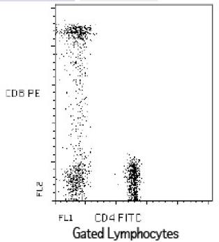 Mouse Human CD4 FITC - CD8 PE Antibody