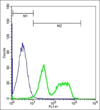 FAT4 Rabbit Polyclonal Antibody