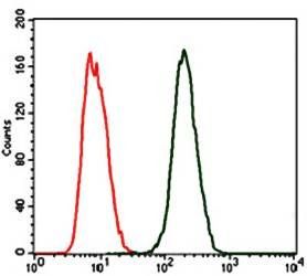 CRP Antibody