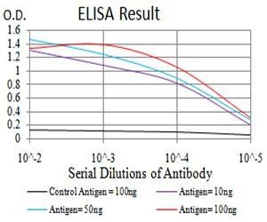 CTNNA1 Antibody