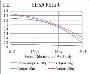 CTSD Antibody