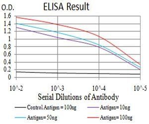 DAPP1 Antibody