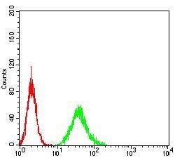 DAPP1 Antibody