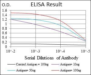 DNMT1 Antibody