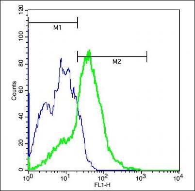 Dynamin 3 Rabbit Polyclonal Antibody