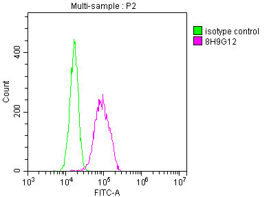 ENO1 Monoclonal Antibody