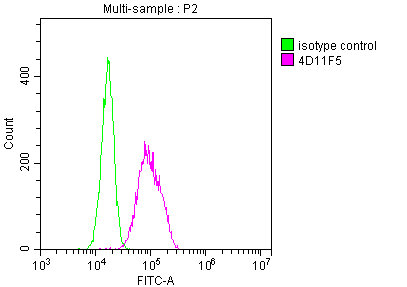 ENO1 Monoclonal Antibody