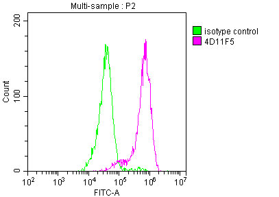 ENO1 Monoclonal Antibody