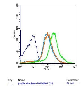 PCDH7 Rabbit Polyclonal Antibody (PE)