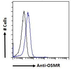 Goat anti-OSMR Antibody