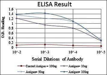 FGG Antibody